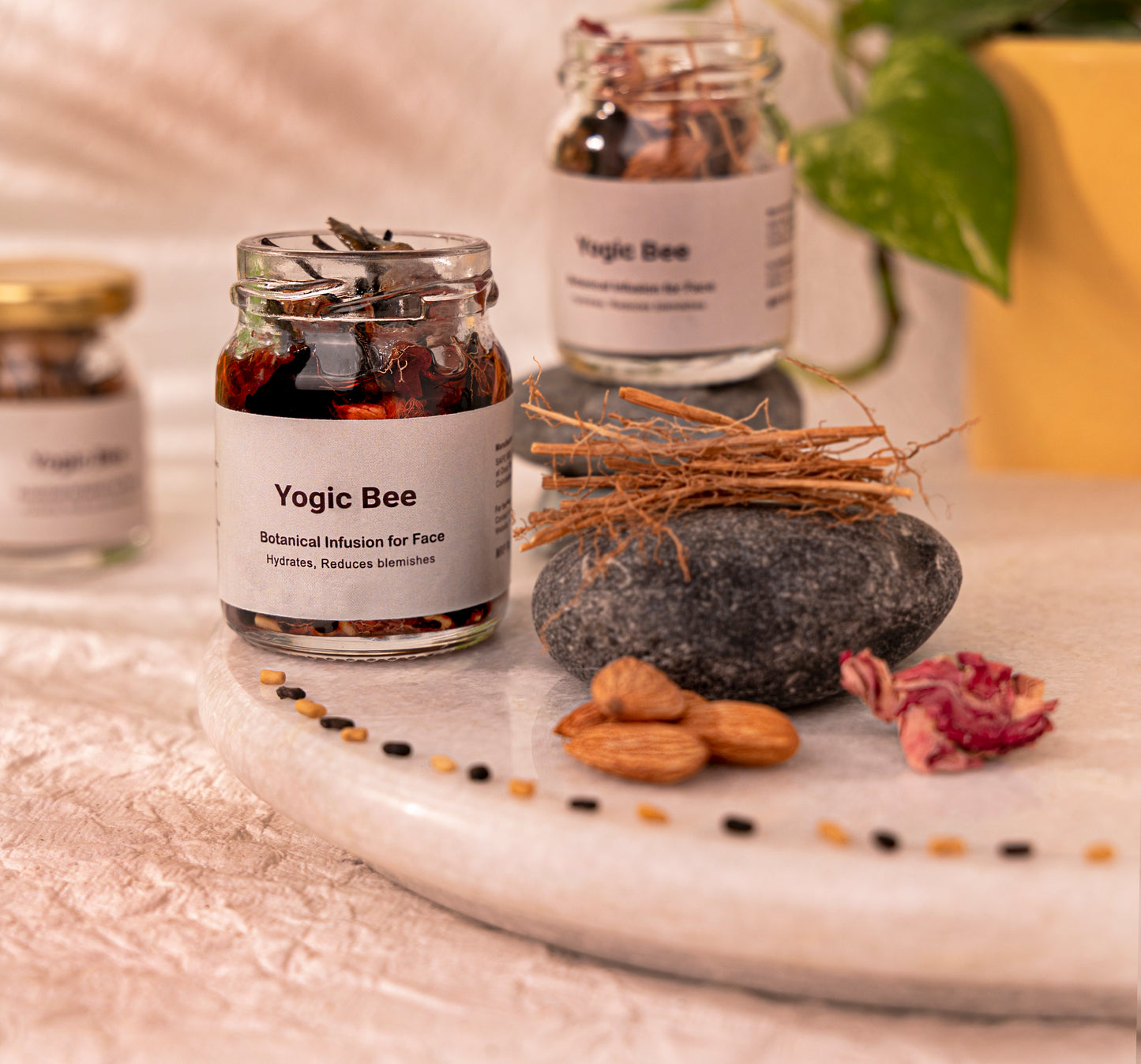 Botanical Infusion For Face