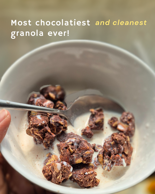 The Most Chocolatiest Granola Ever